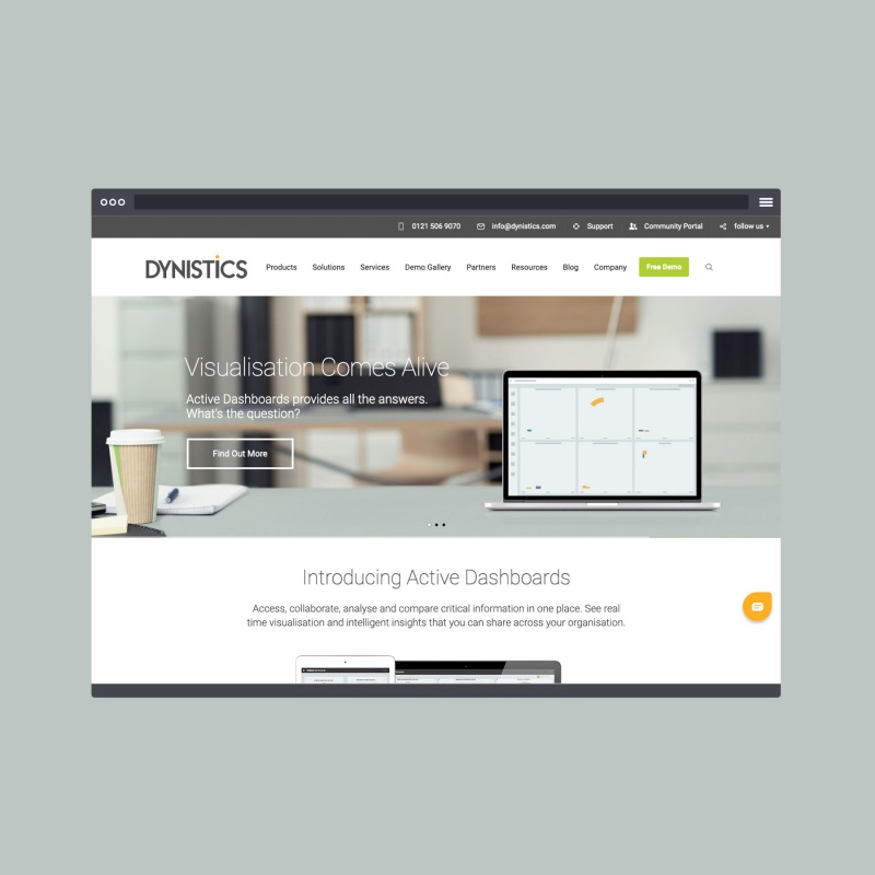 Dynistics Website